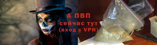 амф Белокуриха
