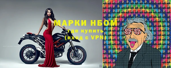 амф Белокуриха