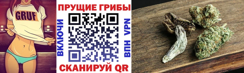 Купить где  Бобров  Галлюциногенные грибы GOLDEN TEACHER 